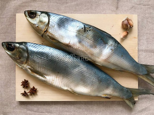 Жареный сыр СПАГЕТТИ 